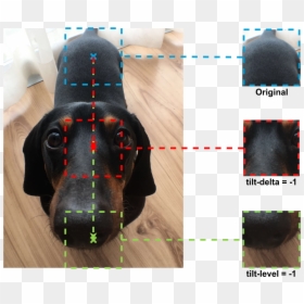 Dog, HD Png Download - gst png