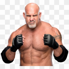 Goldberg Png, Transparent Png - finn balor png