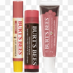 Burt's Bees Lip Gloss, HD Png Download - shimmer and shine png