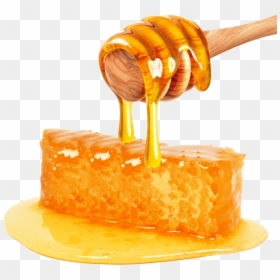 Honey Stock, HD Png Download - honey png