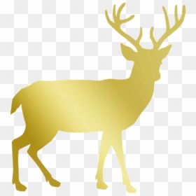 Deer Silhouette Transparent Background, HD Png Download - reindeer png