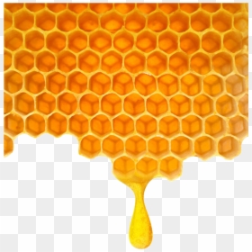 Honeycomb No Background, HD Png Download - honey png
