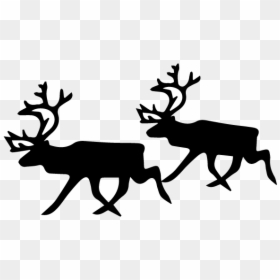 Black And White Reindeer, HD Png Download - reindeer png