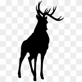 Elk, HD Png Download - reindeer png