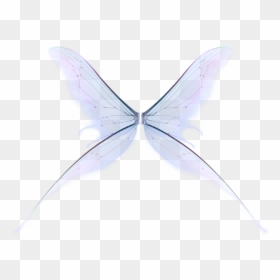 Polyommatus, HD Png Download - fairy wings png