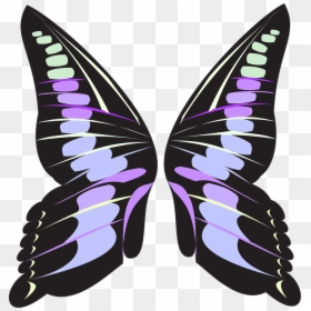 Butterfly Wings Cartoon Png, Transparent Png - fairy wings png