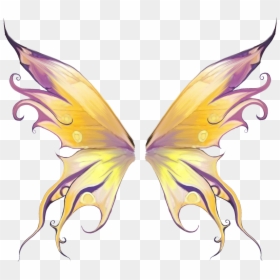 Asas De Fada Png, Transparent Png - fairy wings png