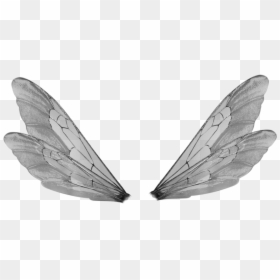 Insect Wings Transparent Background, HD Png Download - fairy wings png