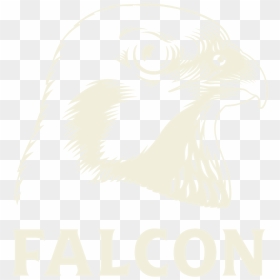 Falcon Öl, HD Png Download - hawk png
