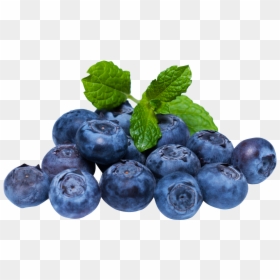 Transparent Background Blueberry Png, Png Download - blueberry png
