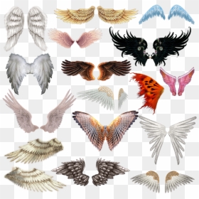 Wings, HD Png Download - fairy wings png