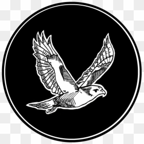 Red Hawks Black And White, HD Png Download - hawk png