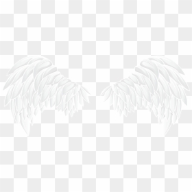 White Wings Png, Transparent Png - fairy wings png