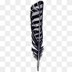Hawk Feather Tattoo Designs, HD Png Download - hawk png