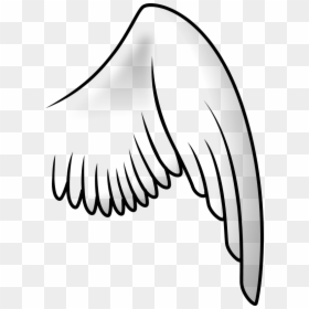 Bird Wing Clip Art, HD Png Download - fairy wings png