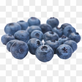 Blueberries Fruit, HD Png Download - blueberry png