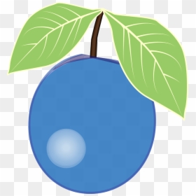 Blue Berry Clipart, HD Png Download - blueberry png