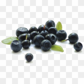 Acai Berry Acai, HD Png Download - blueberry png