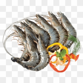 Black Tiger Shrimp Png, Transparent Png - shrimp png
