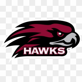 St Joes University Logo, HD Png Download - hawk png