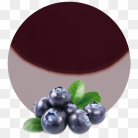 Forest Blueberry Png, Transparent Png - blueberry png