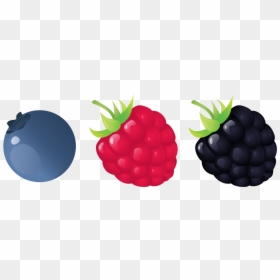 Seedless Fruit, HD Png Download - blueberry png