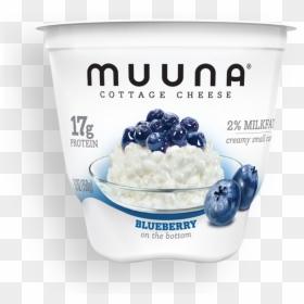 Cottage Cheese With Mango, HD Png Download - blueberry png