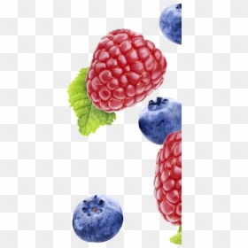 Frutti Di Bosco, HD Png Download - blueberry png