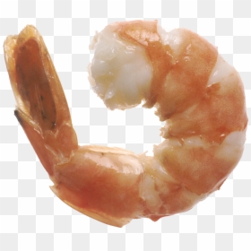 Shrimp Eat, HD Png Download - shrimp png