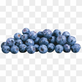 Blueberries Png, Transparent Png - blueberry png