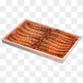 Botan Shrimp, HD Png Download - shrimp png