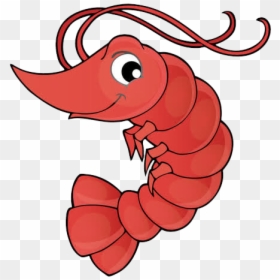 Cartoon Shrimp Drawing, HD Png Download - shrimp png