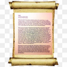 Old Paper Png, Transparent Png - old paper png