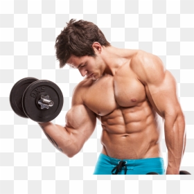 Build Muscle, HD Png Download - gym body png