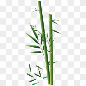 Bambusy Png, Transparent Png - bamboo plants png