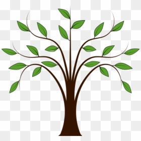 Spring Tree Clipart - Tree Drawing With Leaves, HD Png Download - spring season clipart png