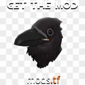 Avian Amante Tf2, HD Png Download - kk slider png