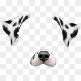#snap #snapchat #dog #dalmata #tumblr #rose #cute #corazon - Filtros De Snapchat Perro, HD Png Download - snapchat png tumblr