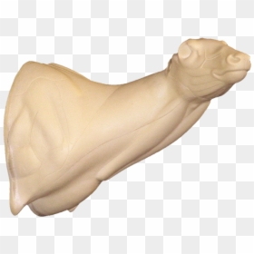Sculpture, HD Png Download - busted png