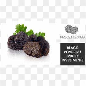 Black Truffles Png, Transparent Png - truffle png