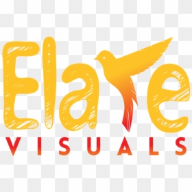 Elate Visuals, HD Png Download - badshah png