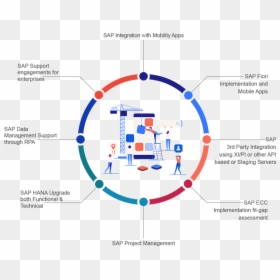 Info Sap Practice - Taxonomical Aids Meaning, HD Png Download - sap png