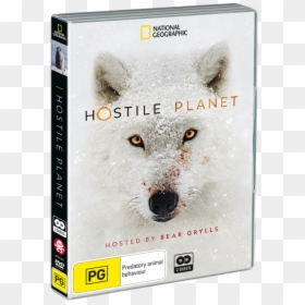 Hostile Planet Tv 2019, HD Png Download - bear grylls png