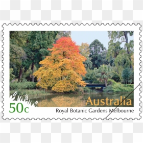 Australian Stamps, HD Png Download - winner stamp png
