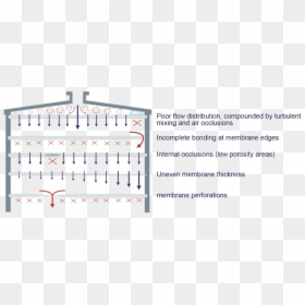 Dispersion In Membrane Adsorbers - Sma Negeri 1 Porong, HD Png Download - dispersion png