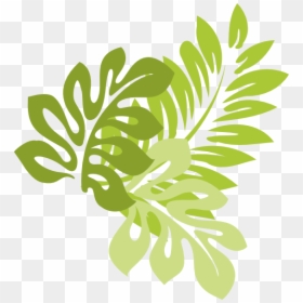Clip Art Jungle Leaf Clipart - Hibiscus Leaf Clipart, HD Png Download - leafs background png