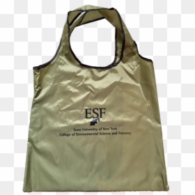 Reusable Tote Bag, HD Png Download - college bag png