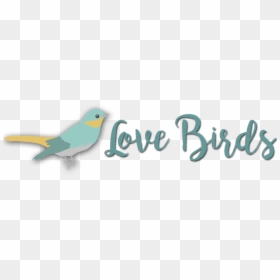 Great White Shark, HD Png Download - wedding love birds png