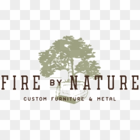 About Fire By Nature - Tree, HD Png Download - fire dust png