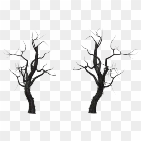 Tree Branch Snag - Dead Tree Png Free, Transparent Png - dry tree branches png